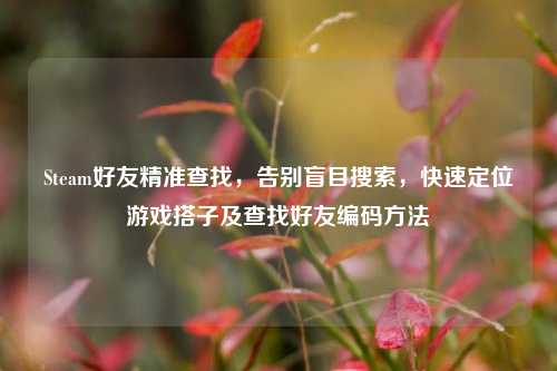 Steam好友精准查找,告别盲目搜索,快速定位游戏搭子及查找好友编码方法