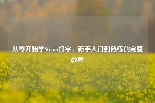 从零开始学Steam打字，新手入门到熟练的完整教程
