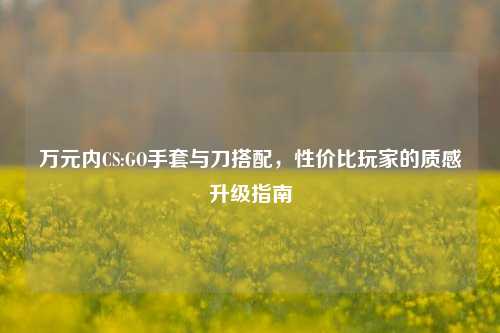 万元内CS:GO手套与刀搭配,性价比玩家的质感升级指南