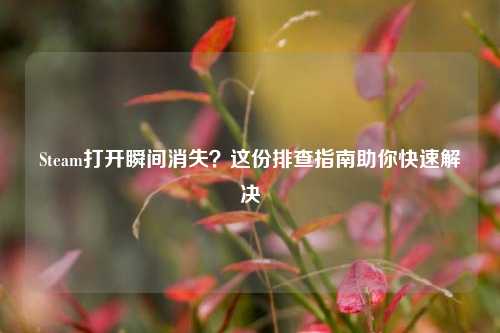 Steam打开瞬间消失?这份排查指南助你快速解决