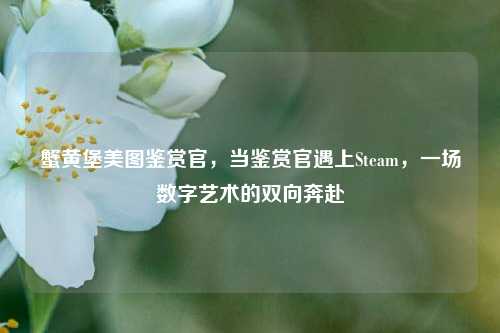 蟹黄堡美图鉴赏官，当鉴赏官遇上Steam，一场数字艺术的双向奔赴