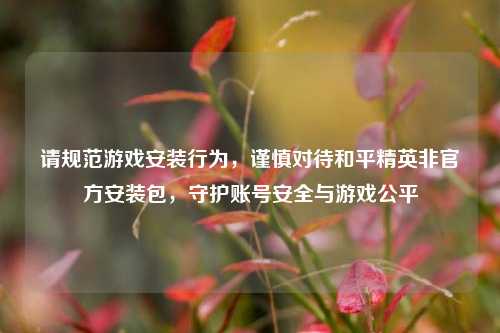 请规范游戏安装行为,谨慎对待和平精英非官方安装包,守护账号安全与游戏公平
