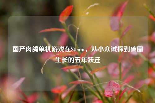 国产肉鸽单机游戏在Steam,从小众试探到破圈生长的五年跃迁