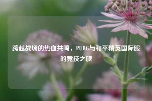 跨越战场的热血共鸣,PUBG与和平精英国际服的竞技之旅
