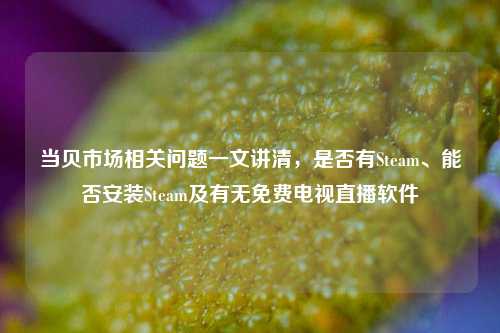 当贝市场相关问题一文讲清,是否有Steam、能否安装Steam及有无免费电视直播软件