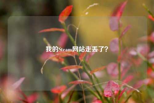 我的Steam网站走丢了?