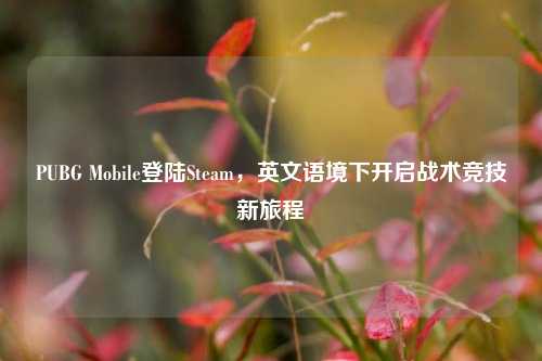 PUBG Mobile登陆Steam,英文语境下开启战术竞技新旅程