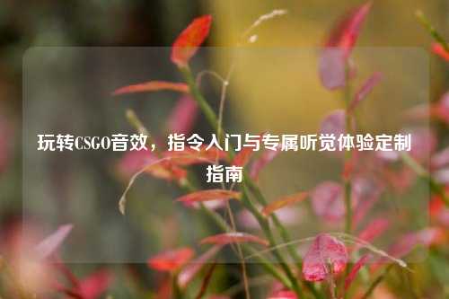 玩转CSGO音效，指令入门与专属听觉体验定制指南