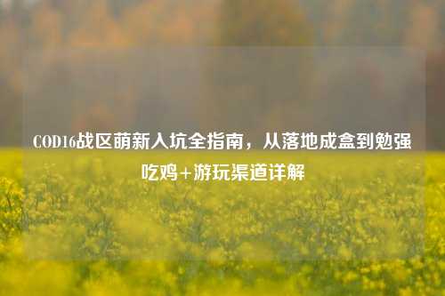 COD16战区萌新入坑全指南,从落地成盒到勉强吃鸡+游玩渠道详解