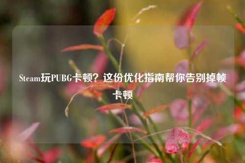 Steam玩PUBG卡顿?这份优化指南帮你告别掉帧卡顿