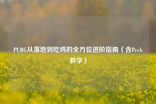 PUBG从落地到吃鸡的全方位进阶指南（含Peek教学）