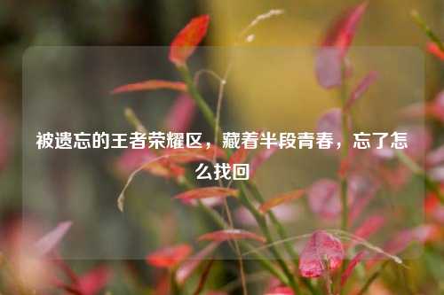 被遗忘的王者荣耀区,藏着半段青春,忘了怎么找回
