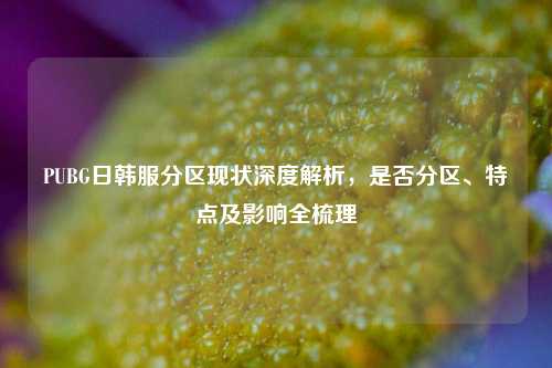 PUBG日韩服分区现状深度解析,是否分区、特点及影响全梳理