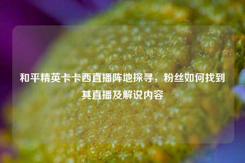 和平精英卡卡西直播阵地探寻,粉丝如何找到其直播及解说内容