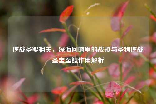 逆战圣鲲相关,深海回响里的战歌与圣物逆战圣宝至鲲作用解析