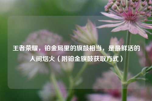 王者荣耀,铂金局里的旗鼓相当,是最鲜活的人间烟火(附铂金旗鼓获取方式)