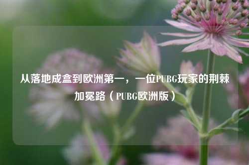 从落地成盒到欧洲第一，一位PUBG玩家的荆棘加冕路（PUBG欧洲版）