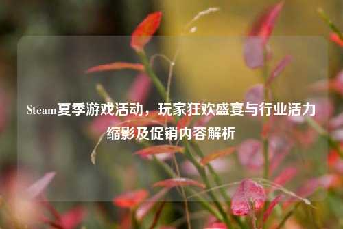 Steam夏季游戏活动,玩家狂欢盛宴与行业活力缩影及促销内容解析